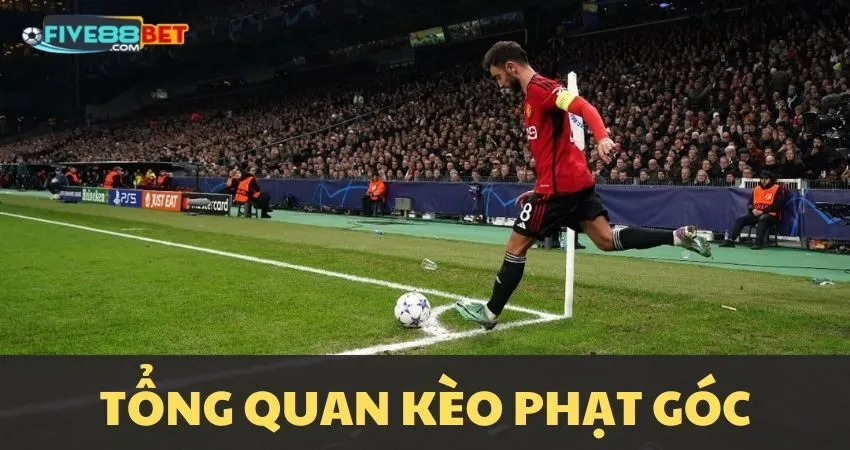 Kèo phạt góc là gì?